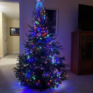 Here is the tree after my wife decorated it.