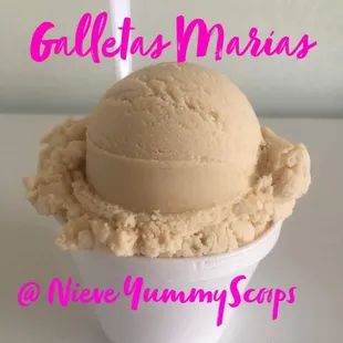 Vanilla Cookies IceCream