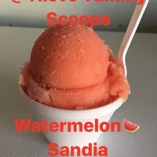 Watermelon Sorbet