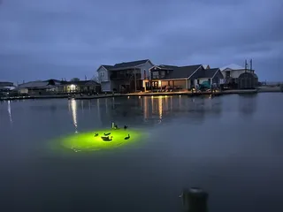 Phillip Durst Bay Fishing  Justonemore