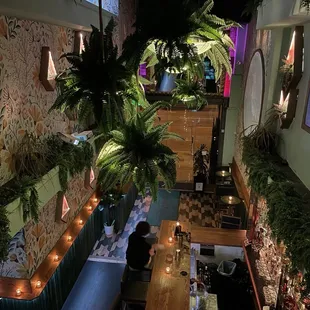 Birds Eye view (alt angle)