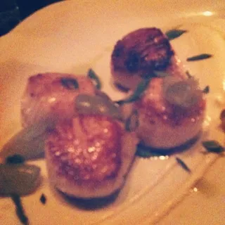 Scallops