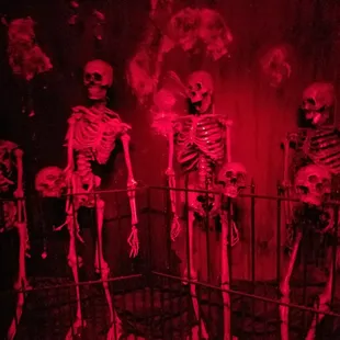 What some of us turned into.