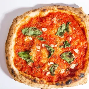 a pizza on a white background