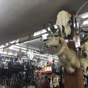 Decor on point. (Get it?)