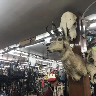 The decor is on point. (Get it?)