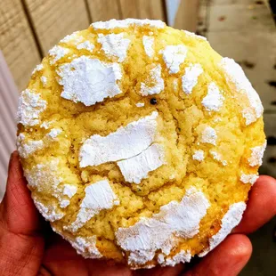 a hand holding a sugared cookie