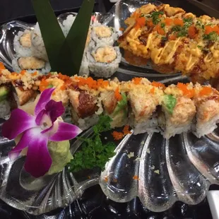 Buddy Roll