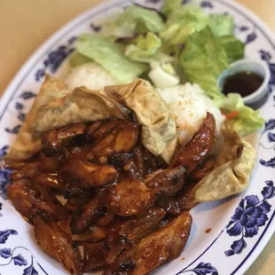 Spicy teriyaki and gyoza combo