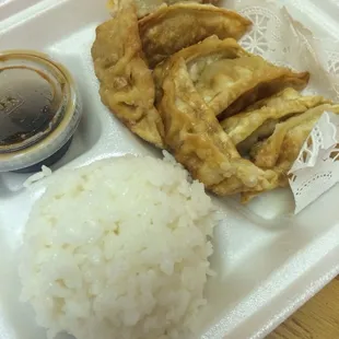 Gyoza plate