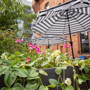 a black and white umbrella in a garden