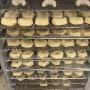 Waiting for the donuts to proof before they go into the fryer.