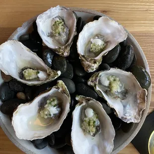 Kumamoto Oysters