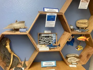 Children's Natural History Museum