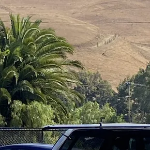 a red truck parked in front of a mountain