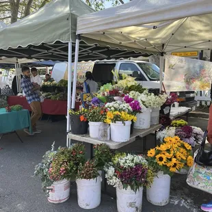 Niles Farmer Market, Fremont, CA.