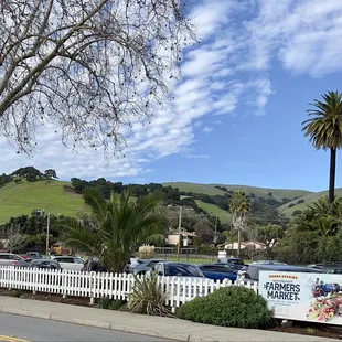 Beautiful view to look at while enjoying ice cream