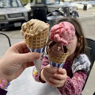 Strawberry and chocolate ice cream  Coffee ice cream