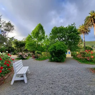Niles Rose Garden