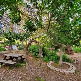 Garden/seating