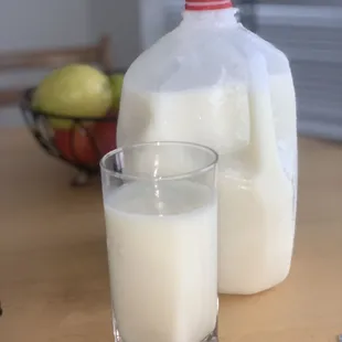 Pina Colada 1 Gallon