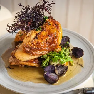 Lemon & Thyme Roasted Pennsylvania Chicken
