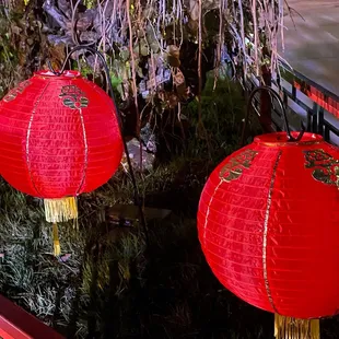 two red lanterns hanging from a tree