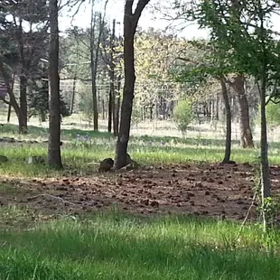 Out side the smoking area