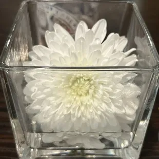 Centerpiece