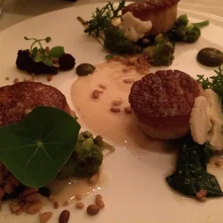 Maine Sea Scallops