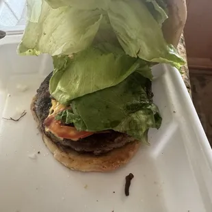 Ridiculous amount of lettuce. Three full pieces but wilted