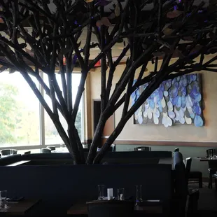 interior, sushi and sashimi