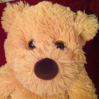 Teddly B.