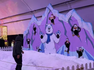 Snow Carnival