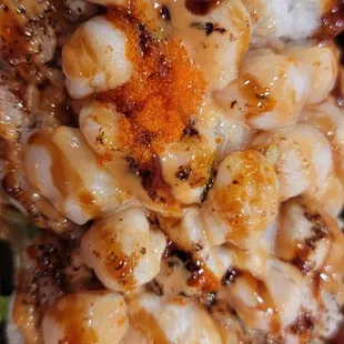 Scallop Dynamite