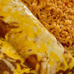 Chicken enchilada in red sauce