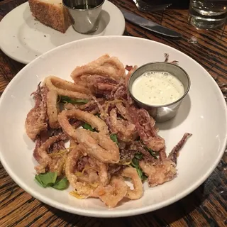 Fried Calamari
