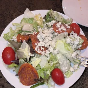 Dinner salad - minus the rotini pasta. Dry Blue Cheese, Sweet &amp; Sour dressing.  OUTSTANDING!