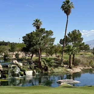 View off the outdoor patio.