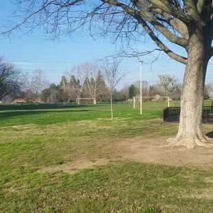 Soccer field and nets