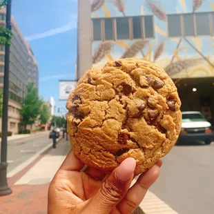 Peanut butter chocolate chip cookies