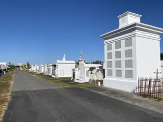 FreeWheelin' Bike Tours & Rentals