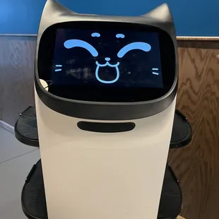 Cat device.. just brings drinks. Kind of a let down