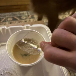 Plastic in soup