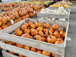 Covered Wagon Farm Market