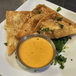 Chicken Wontons