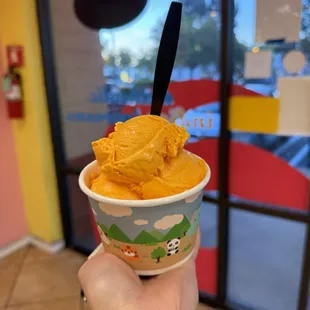 Alphonso mango (top) and falooda kulfi (bottom, not visible)
