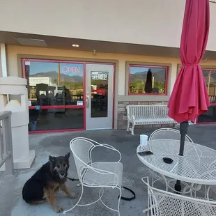 Dog-friendly patio. Only service animals are allowed inside