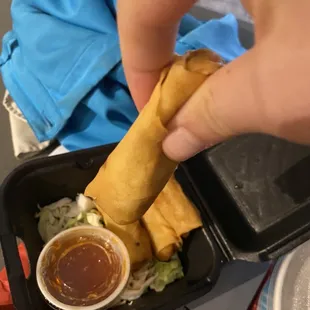 Spring Rolls