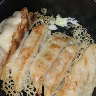 Chicken Gyoza